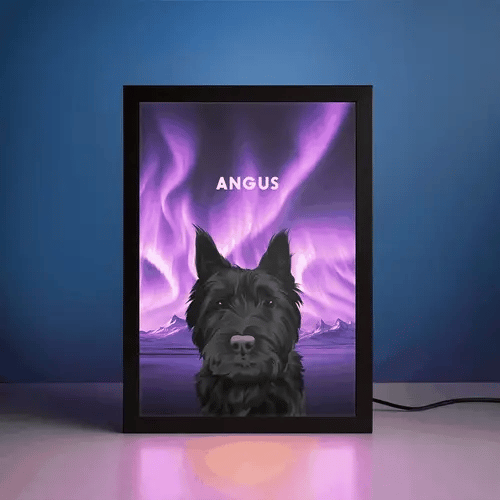 Portrait Animal De Compagnie LED